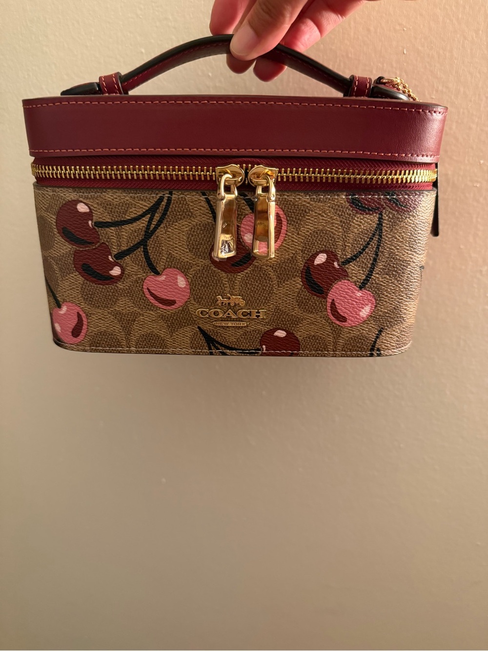 Coach Cherry Cosmetic Case